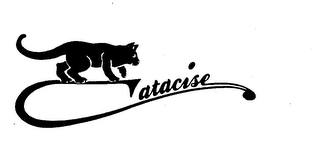CATACISE logo