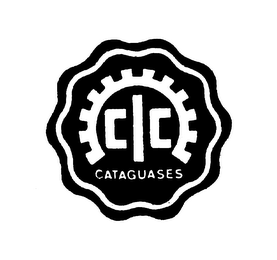 CATAGUASES logo