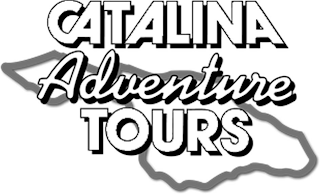 CATALINA ADVENTURE TOURS logo