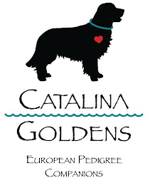 CATALINA GOLDENS EUROPEAN PEDIGREE COMPANIONS logo