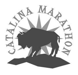 CATALINA MARATHON logo