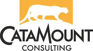 CATAMOUNT CONSULTING logo