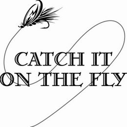 CATCH IT ON THE FLY logo