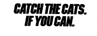 CATCH THE CATS.  IF YOU CAN. logo