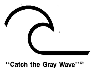 "CATCH THE GRAY WAVE" logo