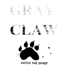 CATCH THE SPIRIT logo