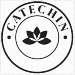CATECHIN logo