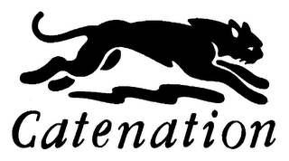 CATENATION logo