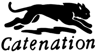 CATENATION logo