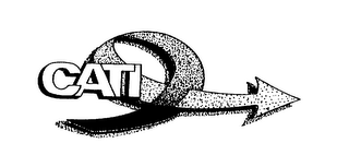 CATI logo