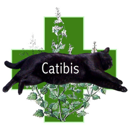 CATIBIS logo