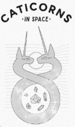 CATICORNS IN SPACE logo