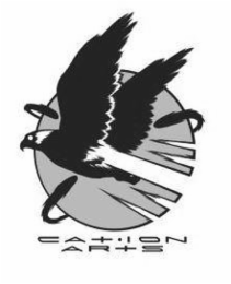 CATION ARTS logo