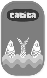 CATITA logo