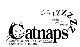 CATNAPSZZZZZZZ ...WHILE YOU'RE AWAY INDIVIDUAL FELINE PLAY-ROOMS LION SIZED ROOMS logo