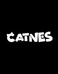 CATNES logo