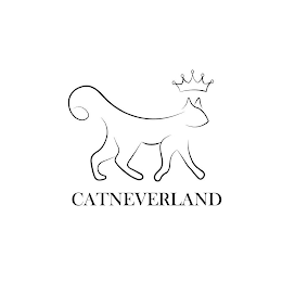 CATNEVERLAND logo