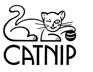 CATNIP logo