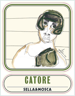CATORE SELLA&MOSCA logo