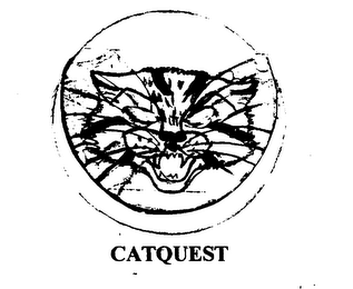 CATQUEST logo