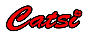 CATSI logo