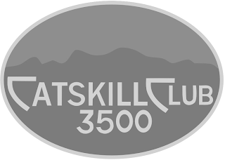 CATSKILL 3500 CLUB logo