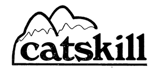 CATSKILL logo