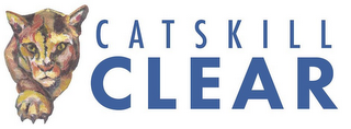 CATSKILL CLEAR logo