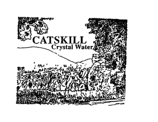 CATSKILL CRYSTAL WATER logo
