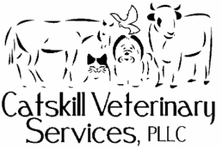 CATSKILL VETERINARY SERVICES, PLLC logo