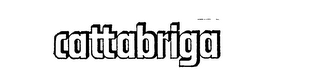 CATTABRIGA logo
