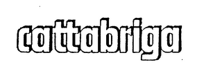 CATTABRIGA logo