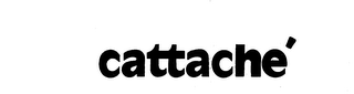 CATTACHE logo