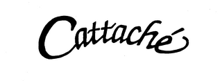 CATTACHE' logo