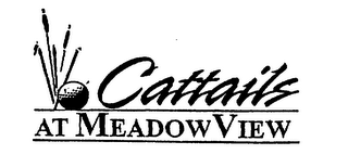 CATTAILS AT MEADOWVIEW