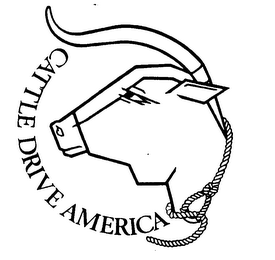 CATTLE DRIVE AMERICA logo