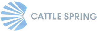 CATTLE SPRING logo