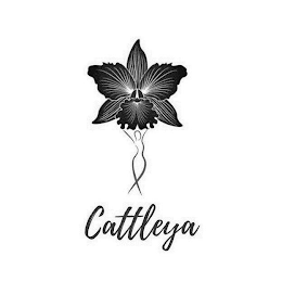 CATTLEYA logo