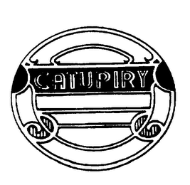CATUPIRY logo