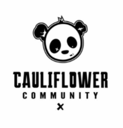 CAULIFLOWER COMMUNITY X