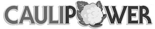 CAULIPOWER logo