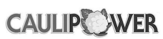 CAULIPOWER logo