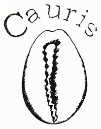 CAURIS logo