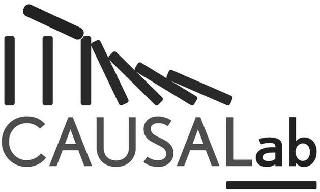 CAUSALAB