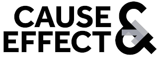 CAUSE & EFFECT logo