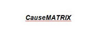 CAUSEMATRIX logo