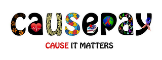 CAUSEPAY CAUSE IT MATTERS logo