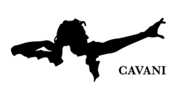 CAVANI logo