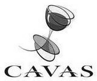 CAVAS logo