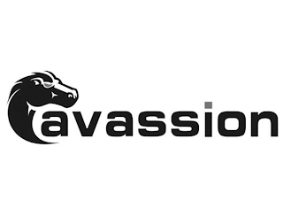 CAVASSION logo